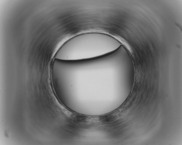 X0000091591006200708200947