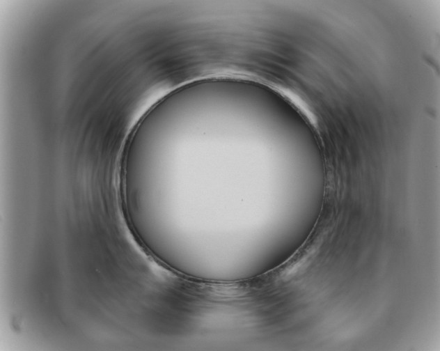 X0000091591007200708200947