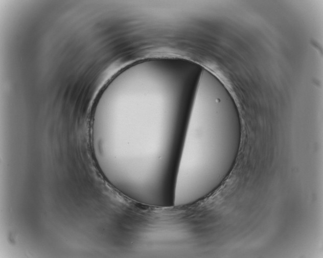 X0000091591008200708200947