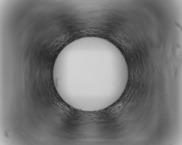 X0000091591010200708200947