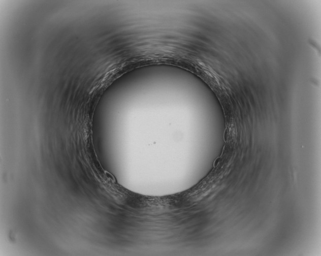 X0000091591012200708200947