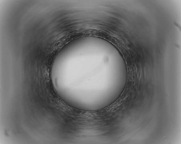 X0000091591013200708200947