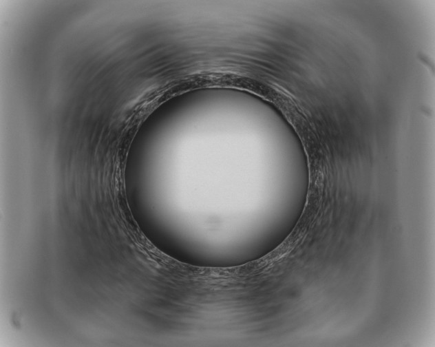 X0000091591014200708200947