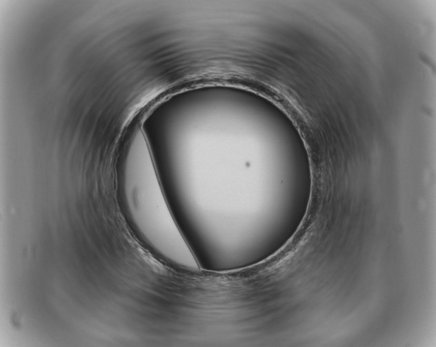 X0000091591018200708200947