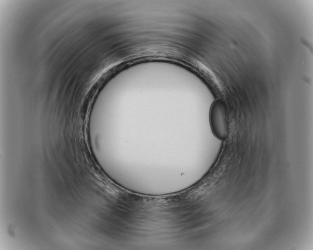 X0000091591019200708200947