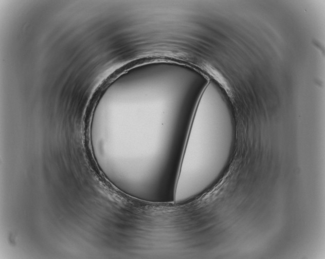 X0000091591020200708200947