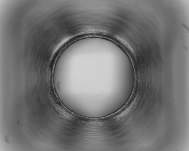 X0000091591021200708200947