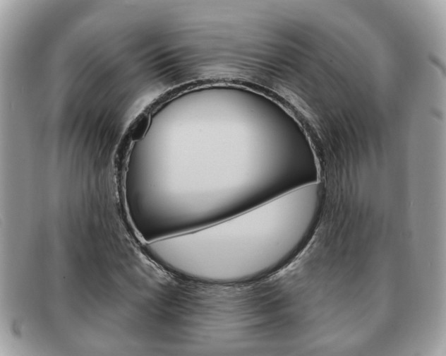 X0000091591022200708200947
