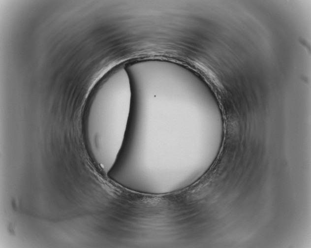 X0000091591023200708200947
