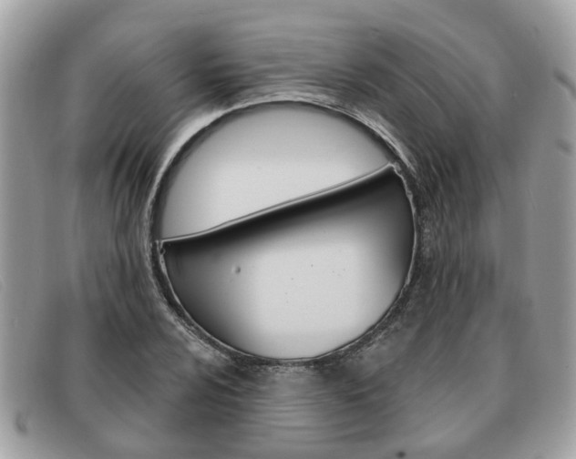 X0000091591024200708200947