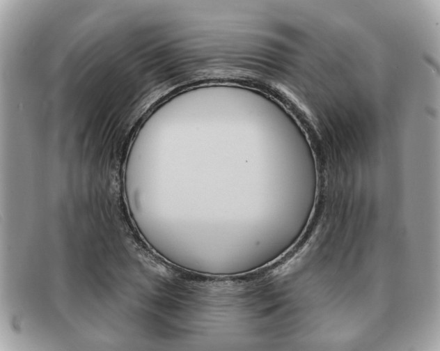 X0000091591025200708200947