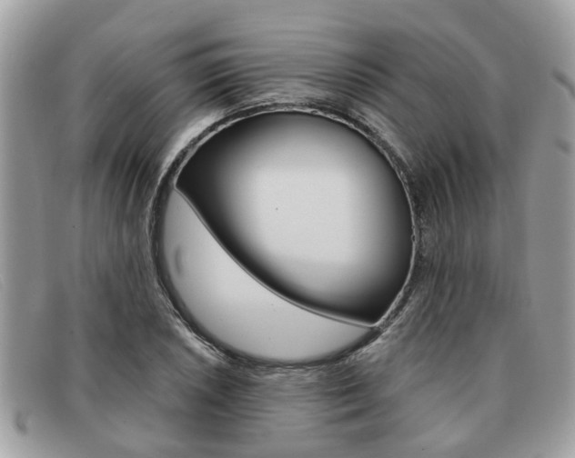 X0000091591026200708200947