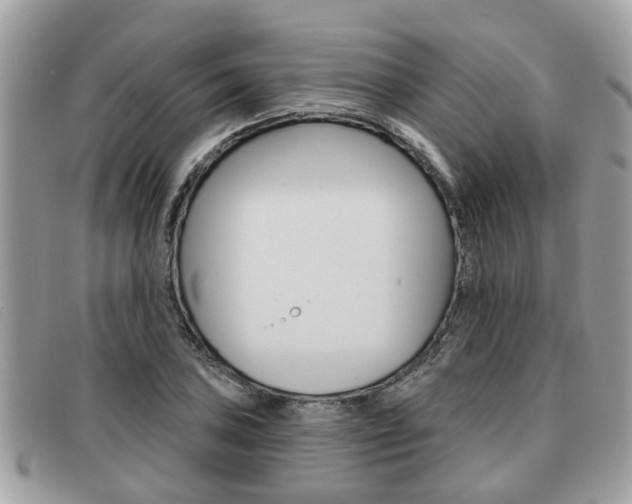 X0000091591027200708200947