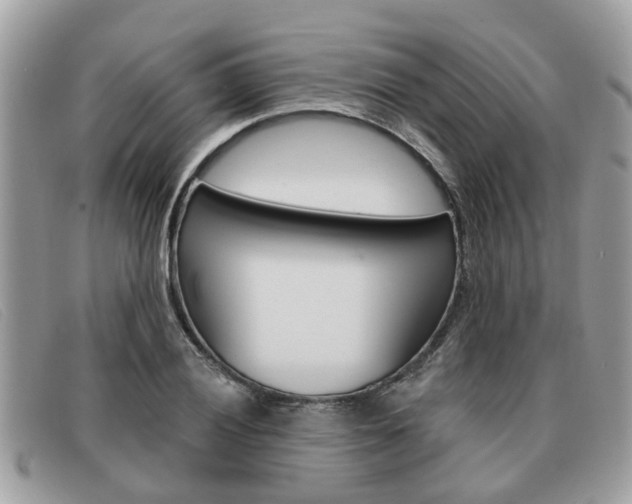 X0000091591028200708200947