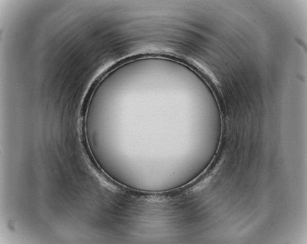 X0000091591029200708200947