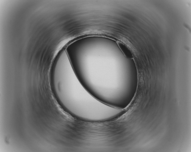 X0000091591030200708200947