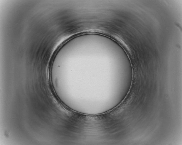 X0000091591032200708200947