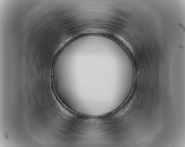 X0000091591033200708200947