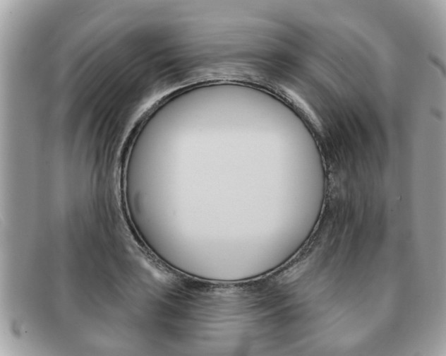 X0000091591035200708200947