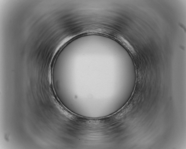 X0000091591036200708200947