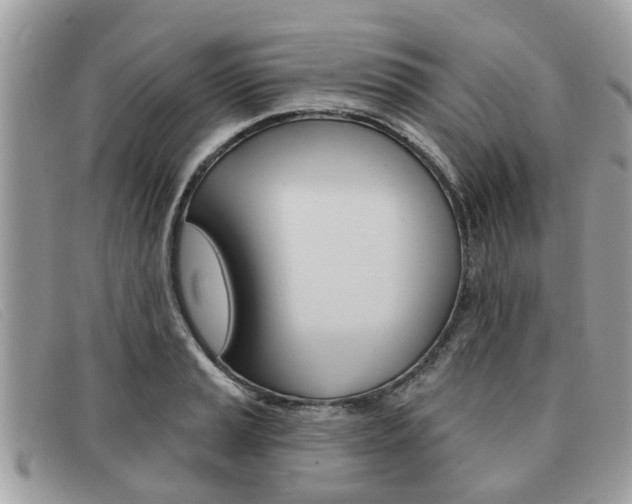 X0000091591037200708200947
