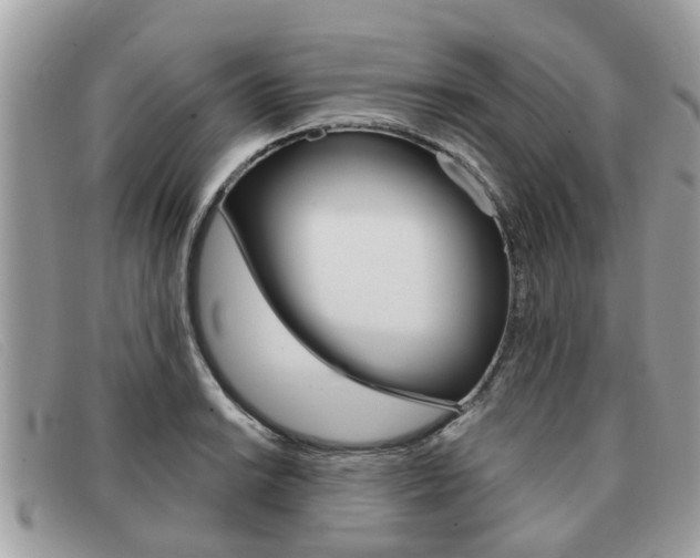 X0000091591038200708200947