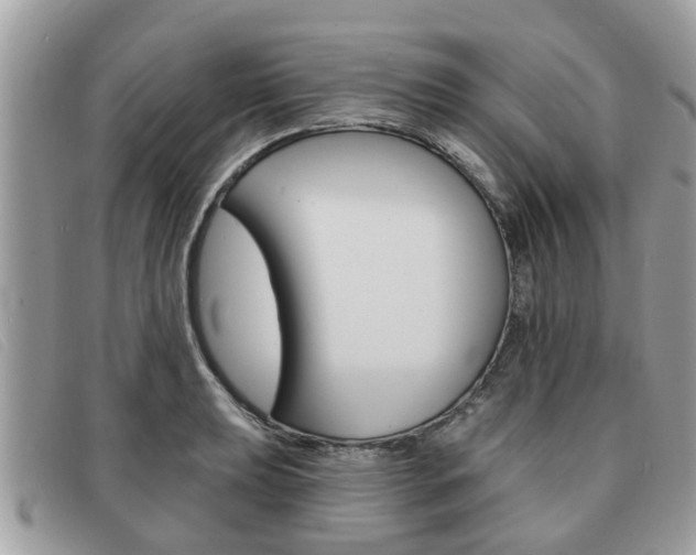 X0000091591039200708200947