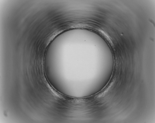 X0000091591041200708200947