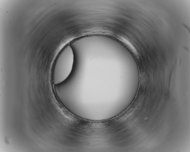 X0000091591043200708200947