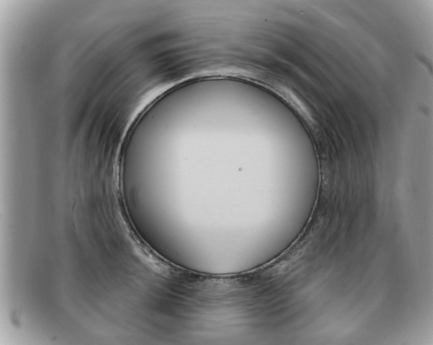 X0000091591044200708200947
