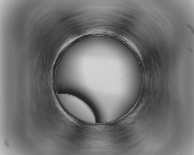 X0000091591045200708200947