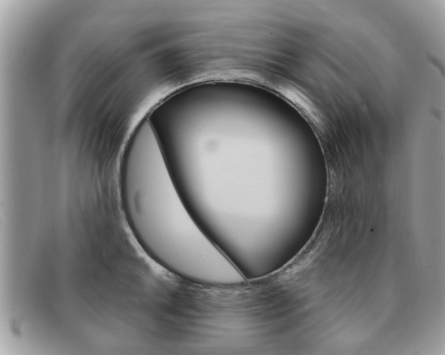X0000091591046200708200947