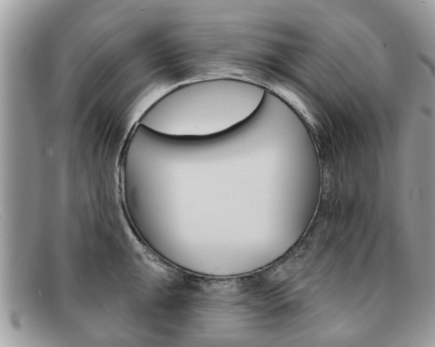 X0000091591047200708200947