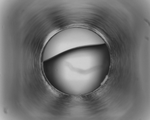 X0000091591050200708200947