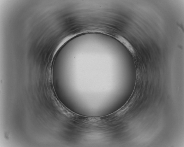 X0000091591052200708200947