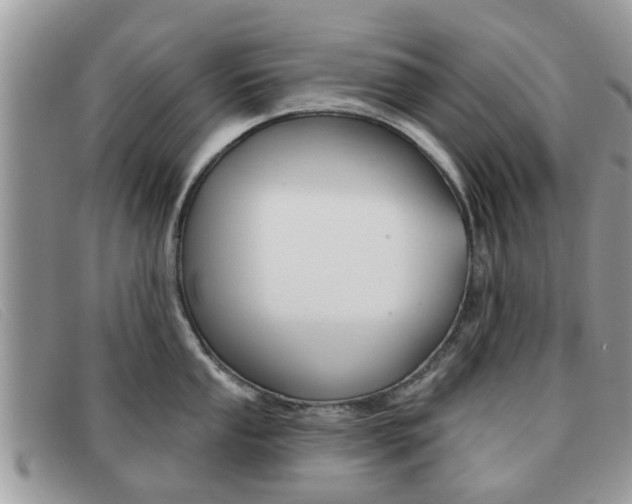 X0000091591053200708200947