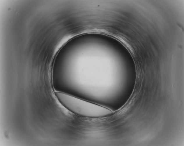 X0000091591054200708200947