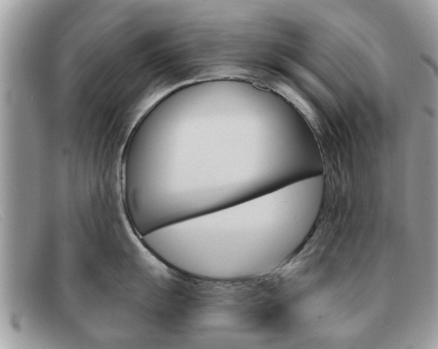 X0000091591055200708200947