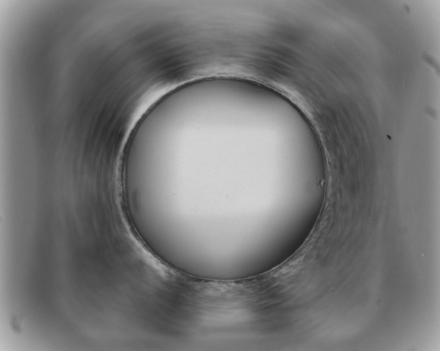 X0000091591056200708200947