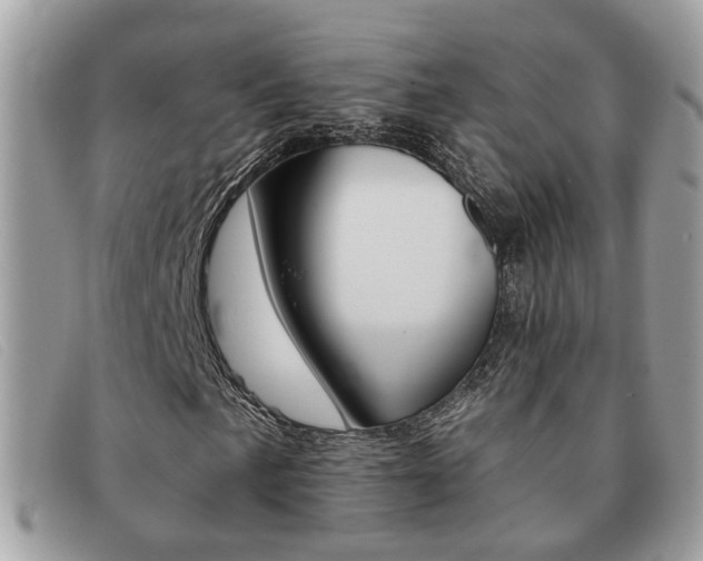 X0000091591057200708200947