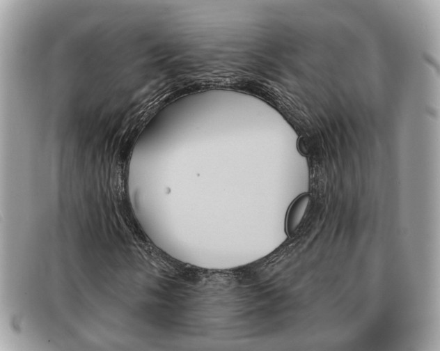 X0000091591058200708200947