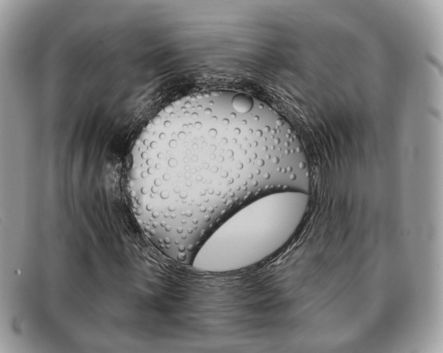 X0000091591059200708200947