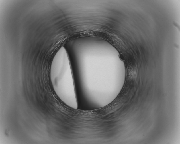 X0000091591060200708200947