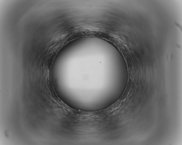 X0000091591061200708200947