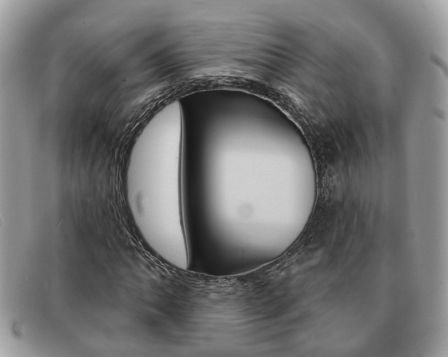 X0000091591062200708200947