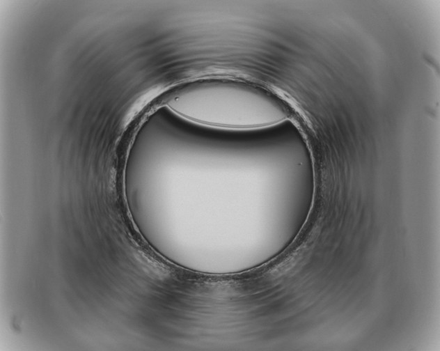 X0000091591066200708200947