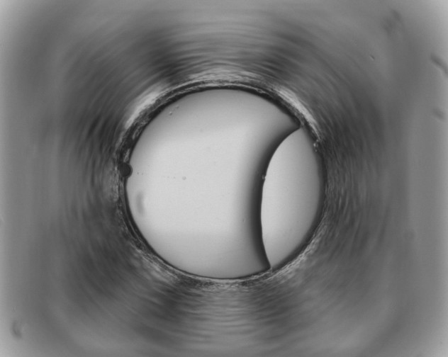 X0000091591067200708200947