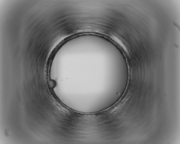 X0000091591068200708200947