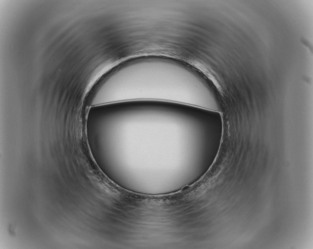 X0000091591069200708200947