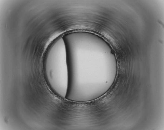 X0000091591070200708200947